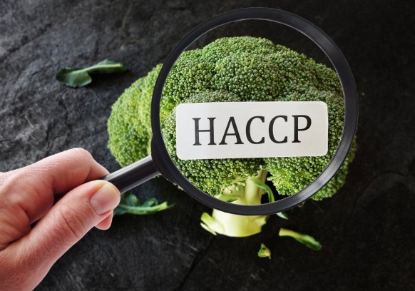 A HACCP szerepe a gyártósorokon